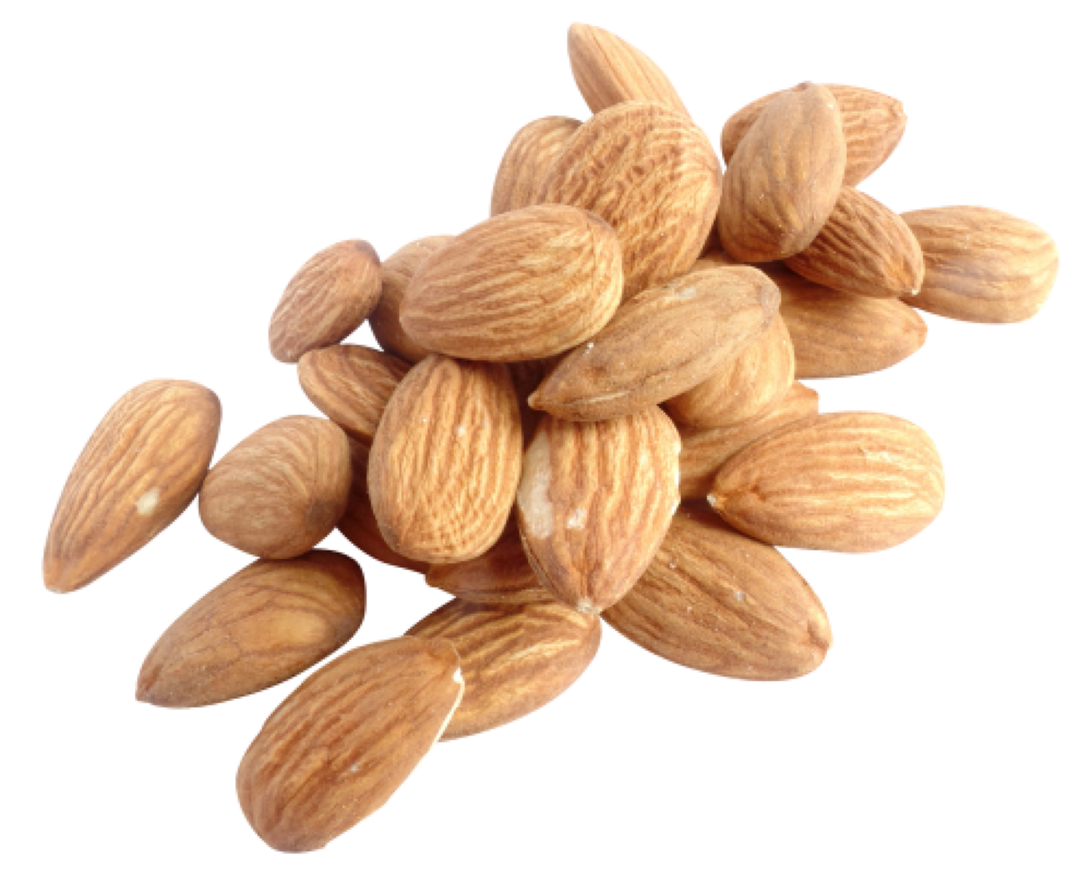 group of almond nuts concept png