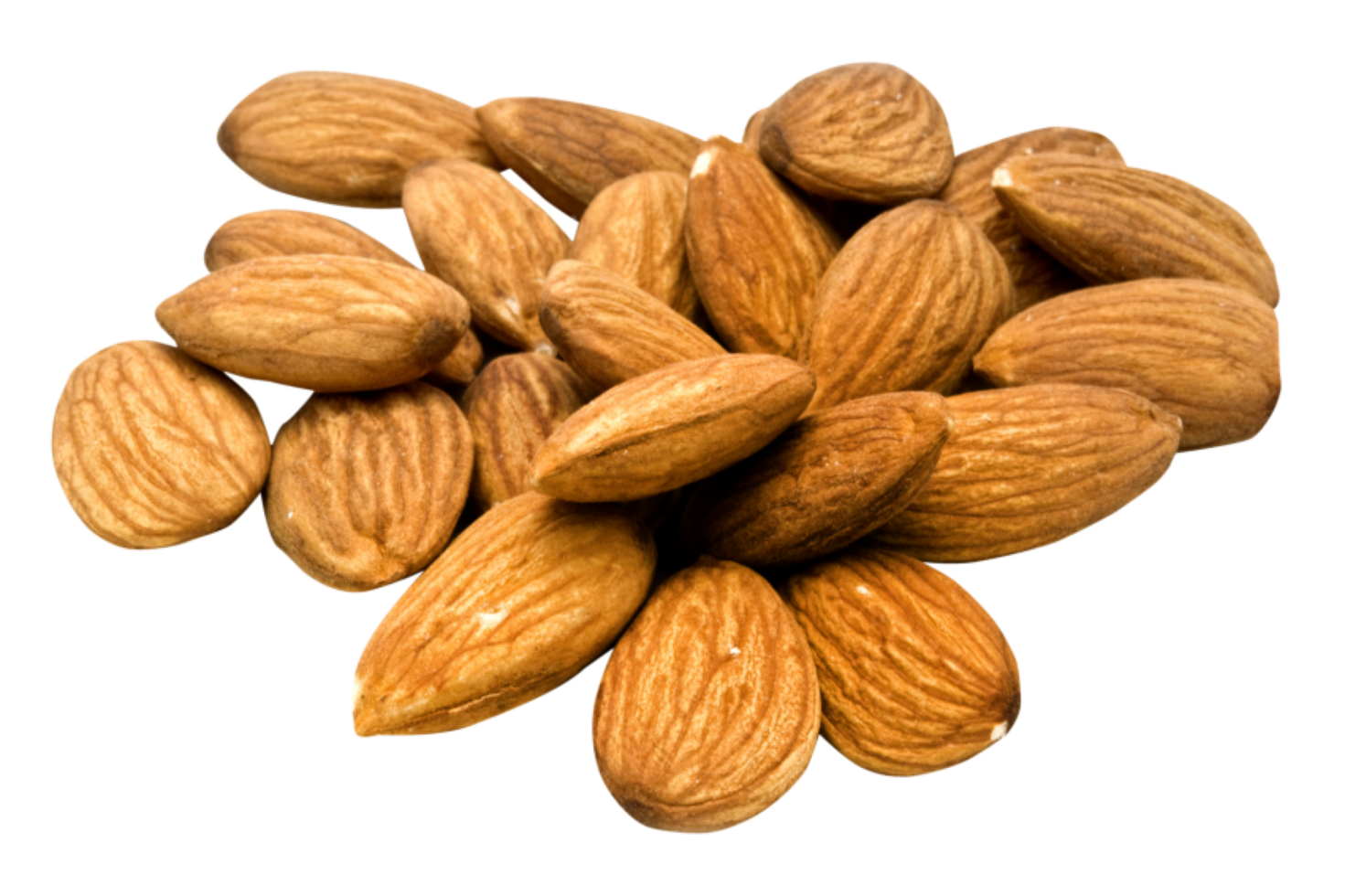 group of almond nuts concept png