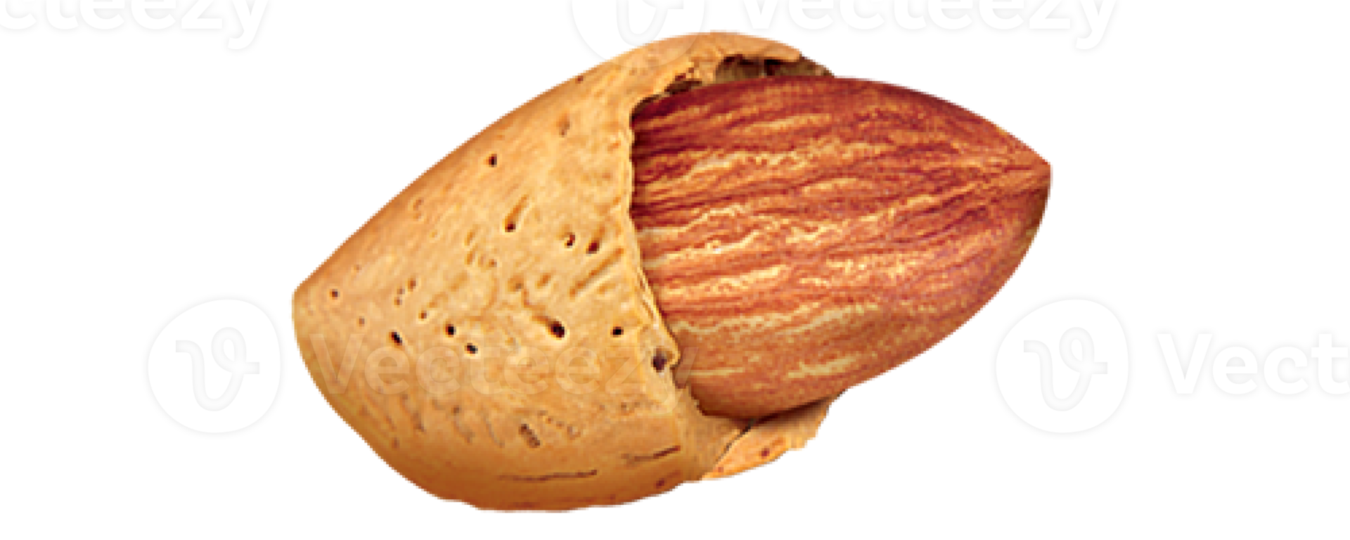 single of almond nut png