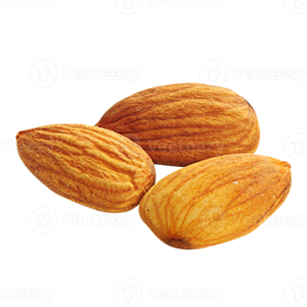 group of almond nuts concept png