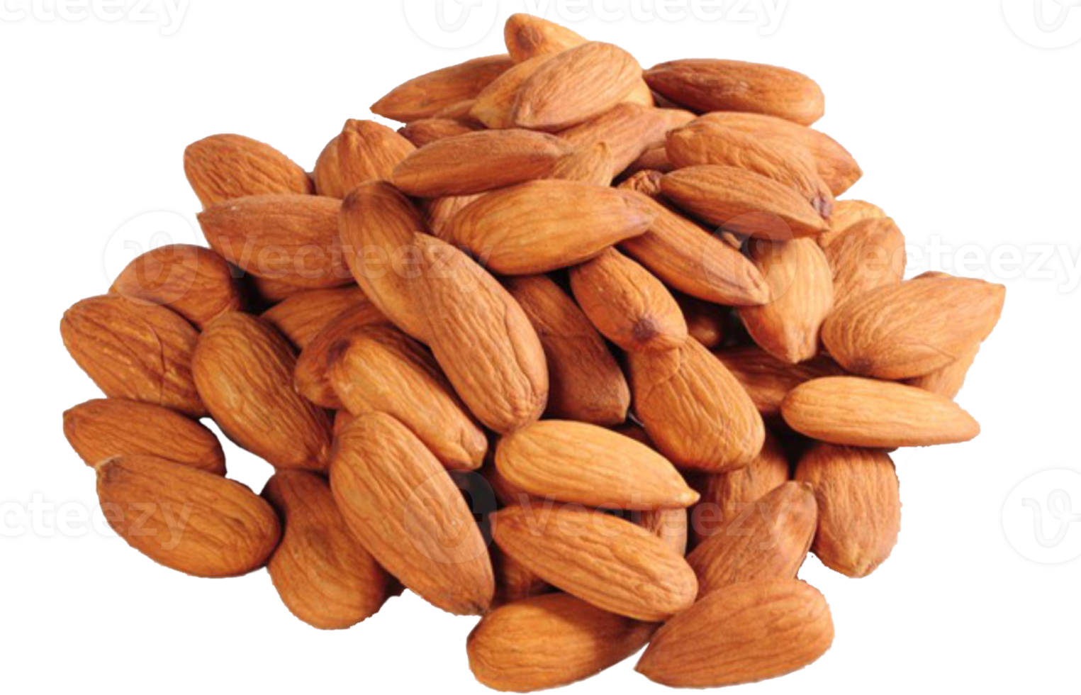 group of almond nuts concept png