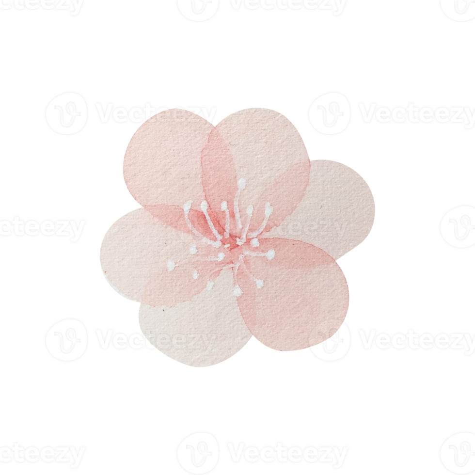 Watercolor vintage pink flower png