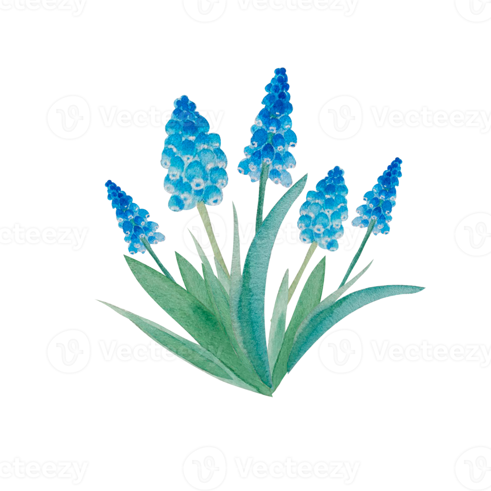 Watercolor spring flowers bouquet png