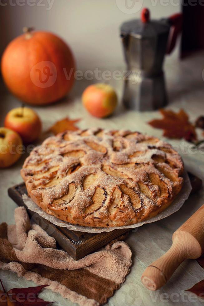 Homemade apple pie on a white background, top view, copy space photo