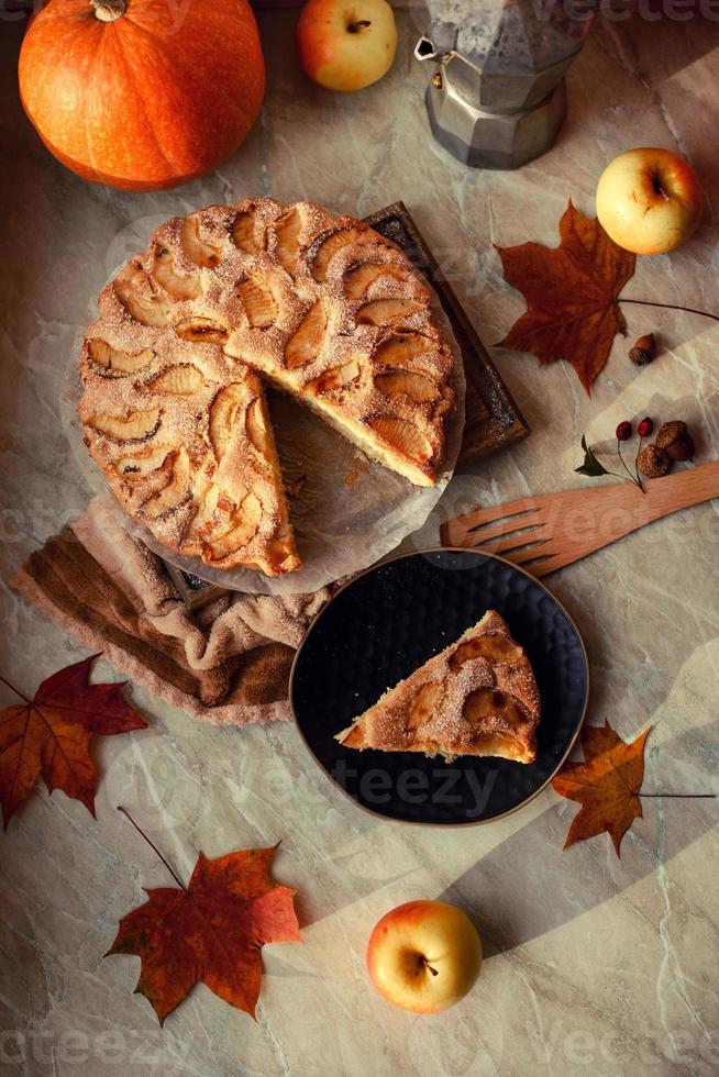 Homemade apple pie on a white background, top view, copy space photo