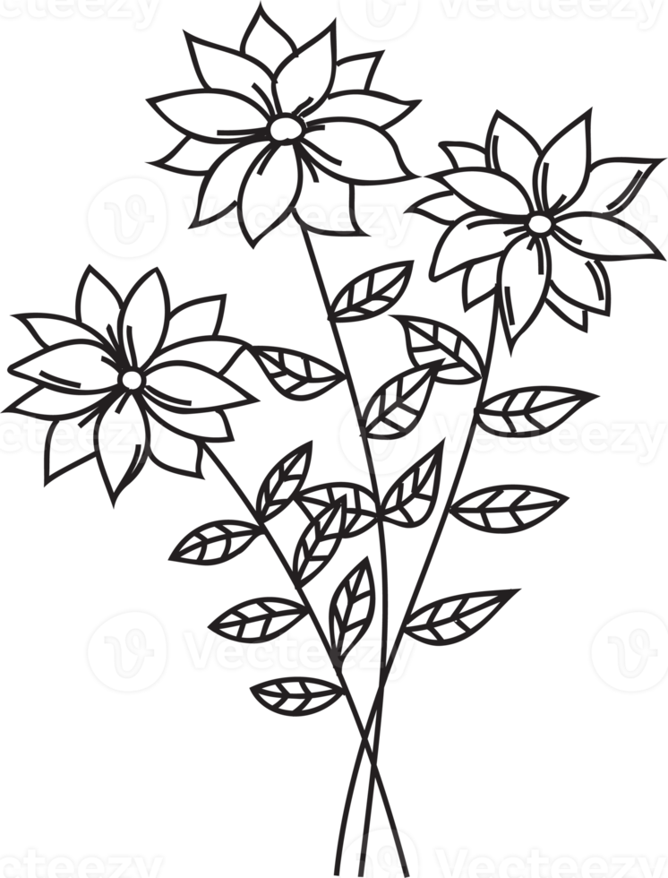 Flower line art illustration with black thin line. PNG with transparent background.