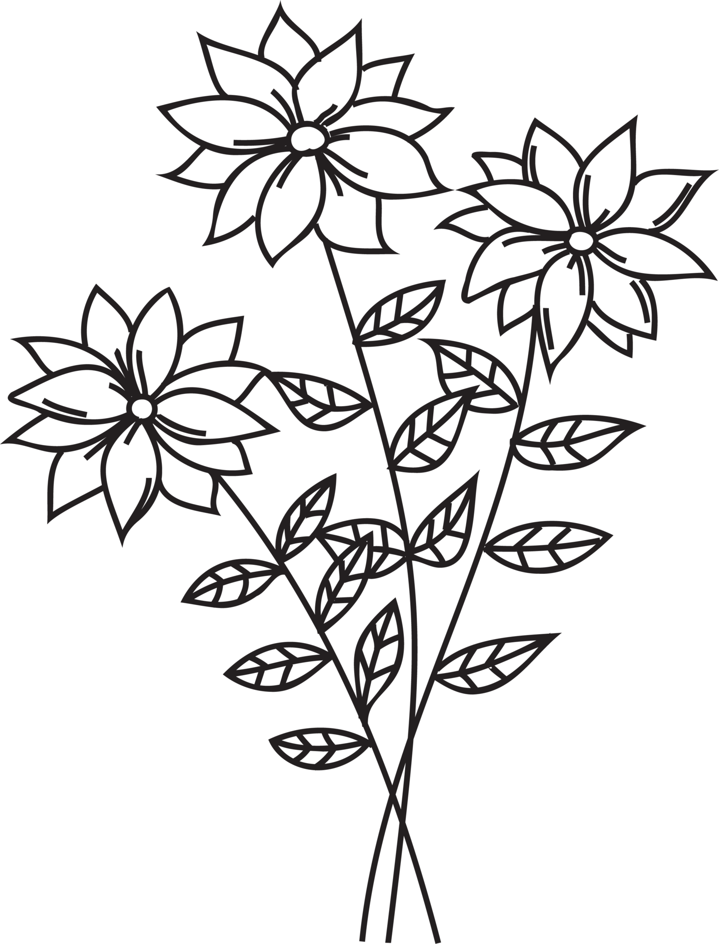 Flower line art illustration with black thin line. PNG with