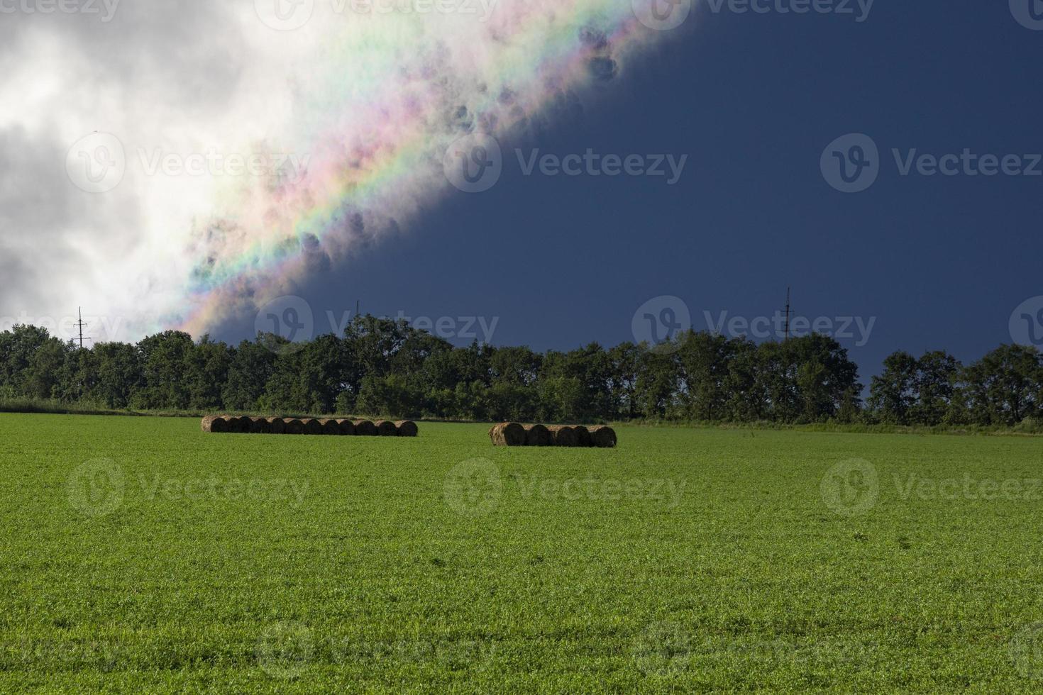 Agricultural field of green color and stacks of cut grass against the backdrop of a rainbow on a blue sky. photo