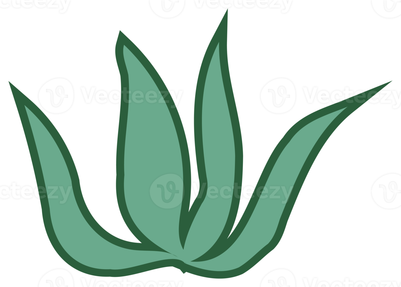 botanisch ontwerp element, decoratief vlak. PNG met transparant achtergrond.