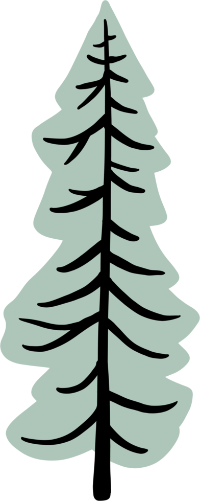 semplicità pino albero a mano libera disegno piatto design. png