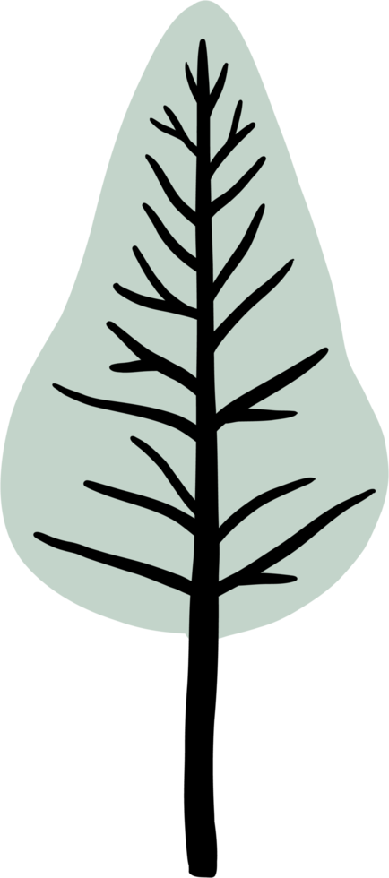 simplicity pine tree freehand drawing flat design. png