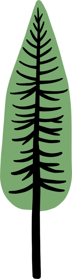 simplicity pine tree freehand drawing flat design. png