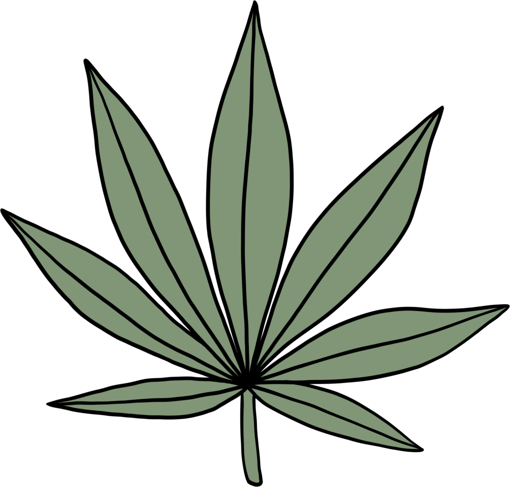 eenvoud cannabisblad uit de vrije hand tekenen plat ontwerp. png