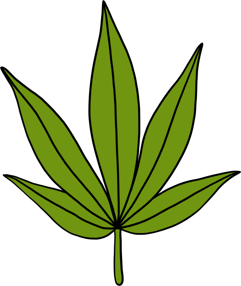 simplicity cannabis leaf freehand drawing flat design. png