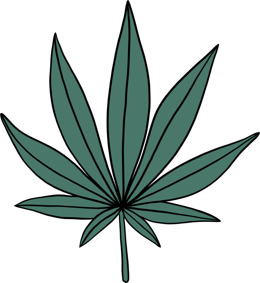 simplicity cannabis leaf freehand drawing flat design. png