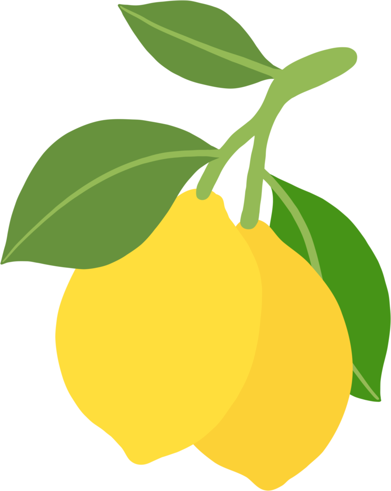 doodle freehand sketch drawing of lemon fruit. png