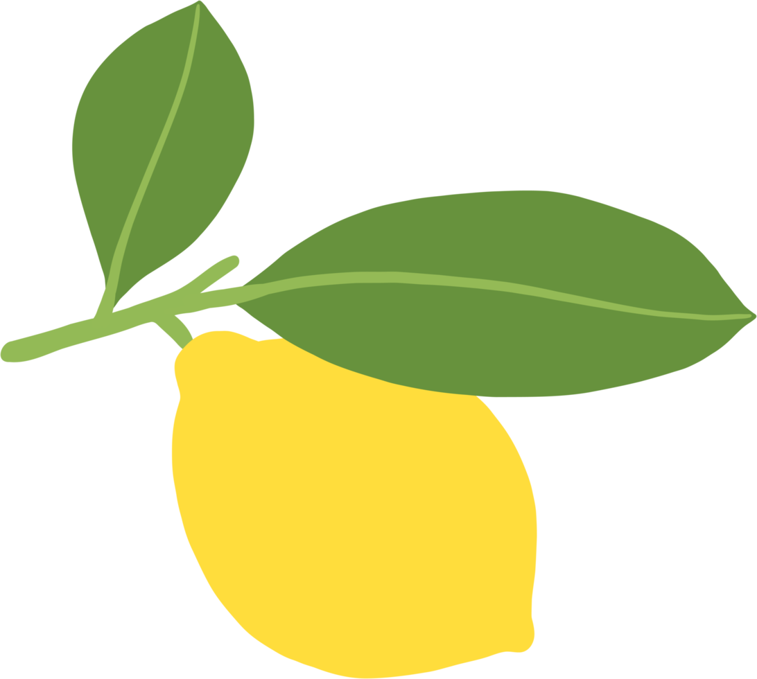 doodle uit de vrije hand schets tekening van citroen fruit. png