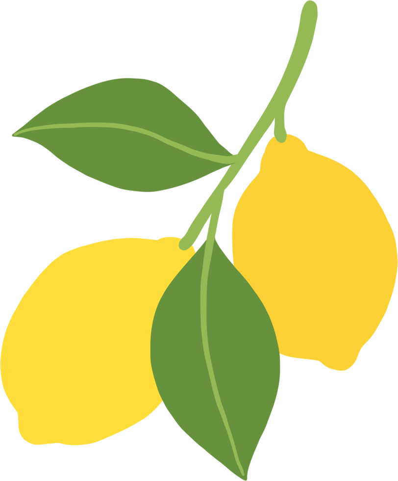 doodle freehand sketch drawing of lemon fruit. png