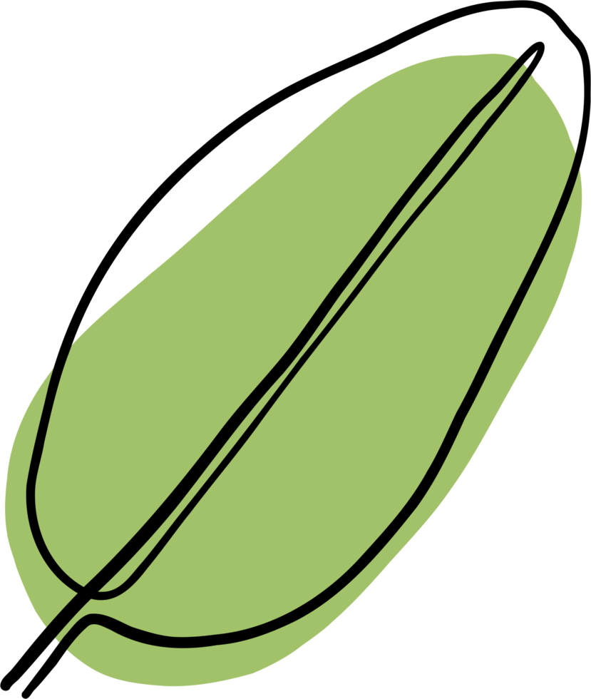 simplicity banana leaf freehand continuous drawing flat design. png