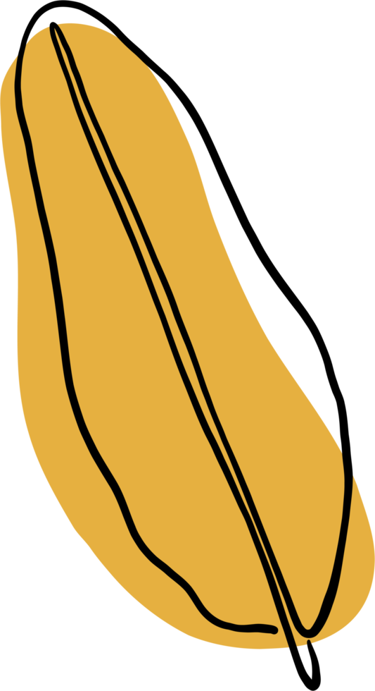 simplicity banana leaf freehand continuous drawing flat design. png