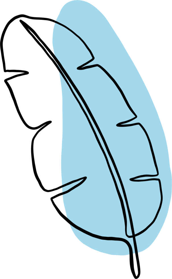 simplicity banana leaf freehand continuous drawing flat design. png