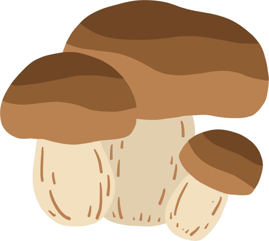 doodle desenho à mão livre de cogumelo porcini. png
