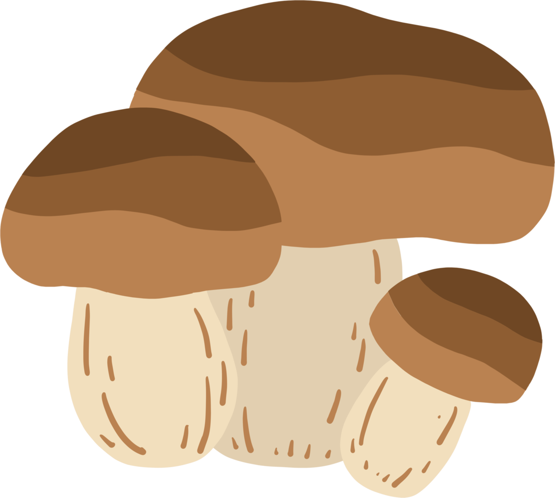 dibujo a mano alzada de garabatos de hongos porcini. png