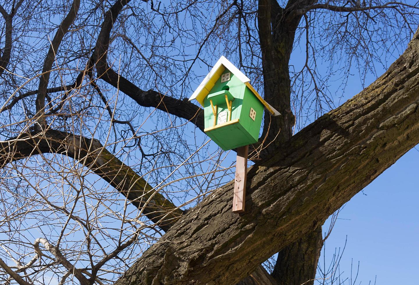 Urban landscape with bird houses on the background of trees without leaves. photo