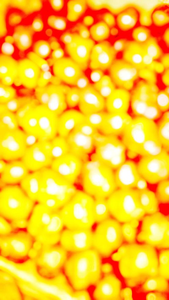 blurry photo background of plants and fruit in Indonesian village