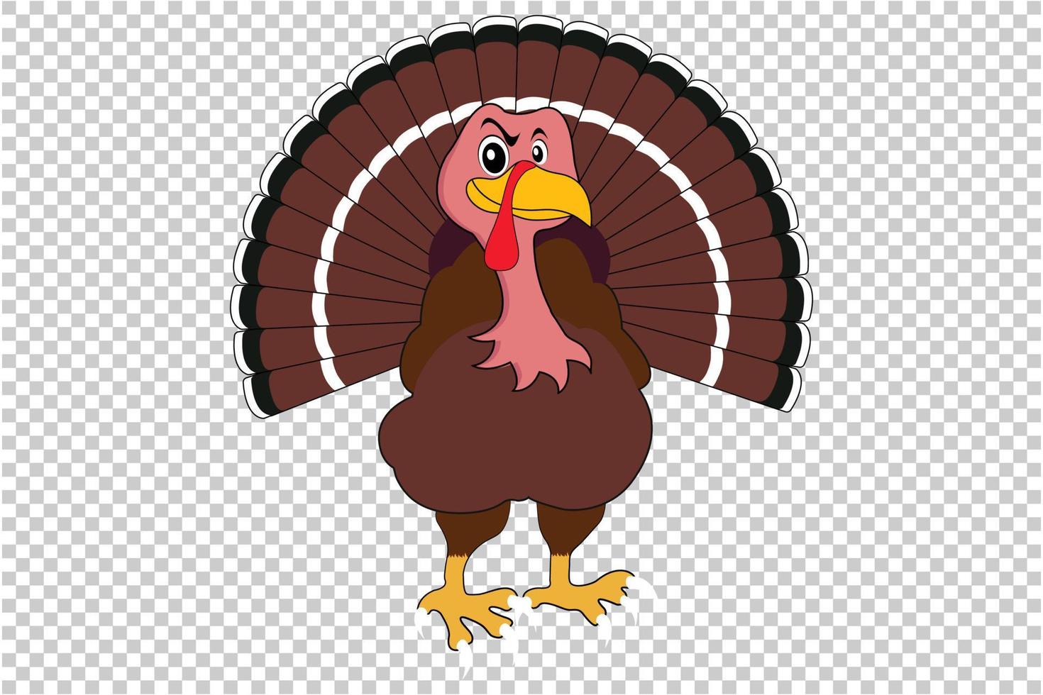 Turkey vector and art