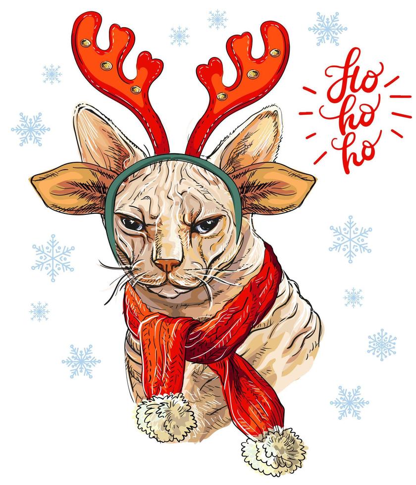 Gracioso gato sphynx navideño con astas de ciervo ilustración vectorial vector