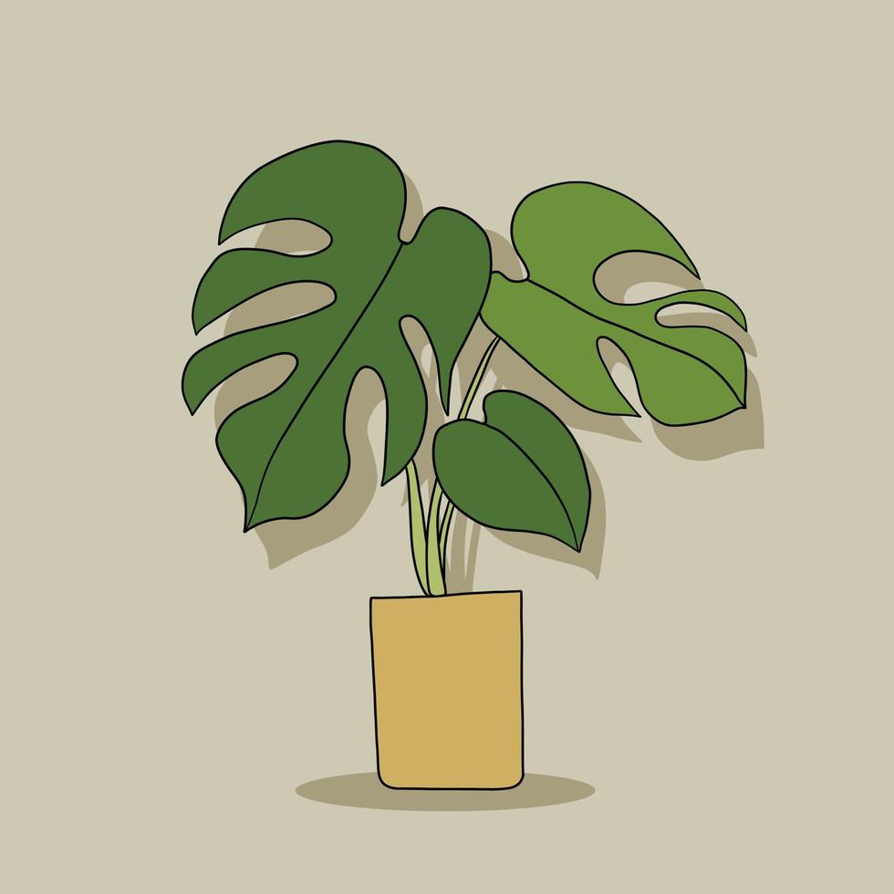 Simplicity monstera plant freehand drawing flat design. vector