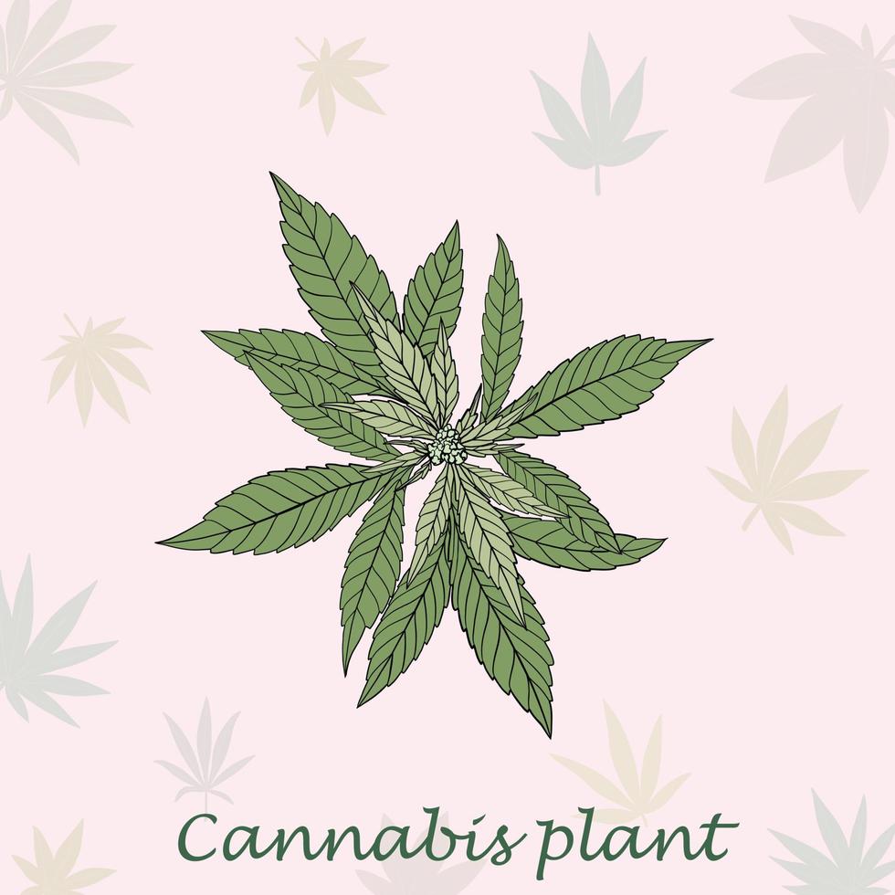 simplicidad planta de cannabis dibujo a mano alzada diseño plano. vector