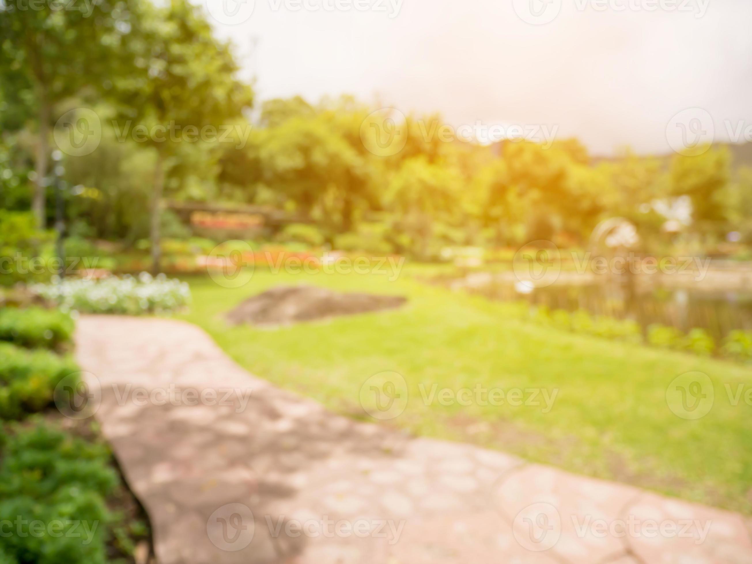 Walkway in the flowers garden blur background 12602784 Stock Photo at  Vecteezy