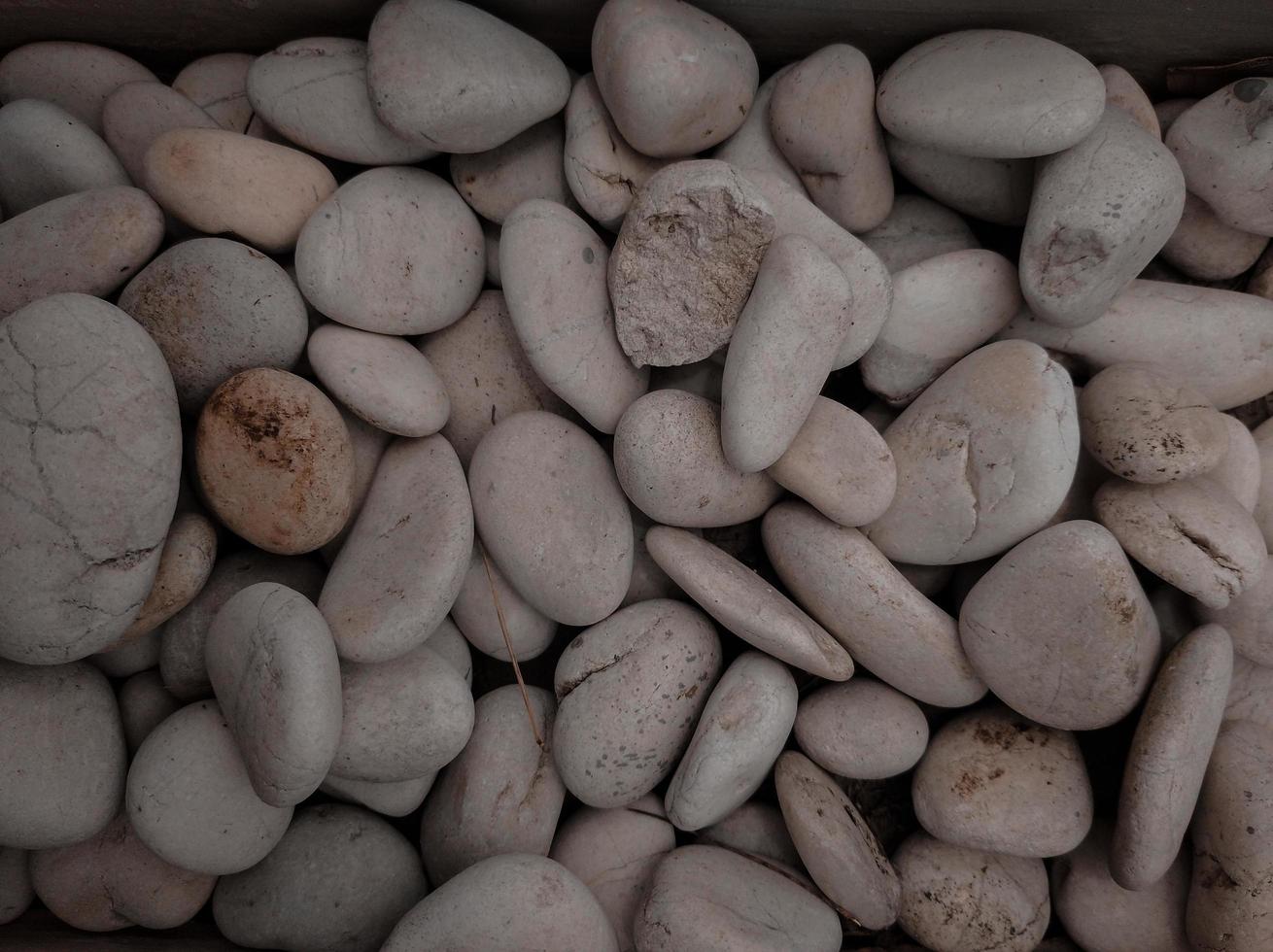 On the pebble background, there are lots of pebbles which are white in shape and color photo