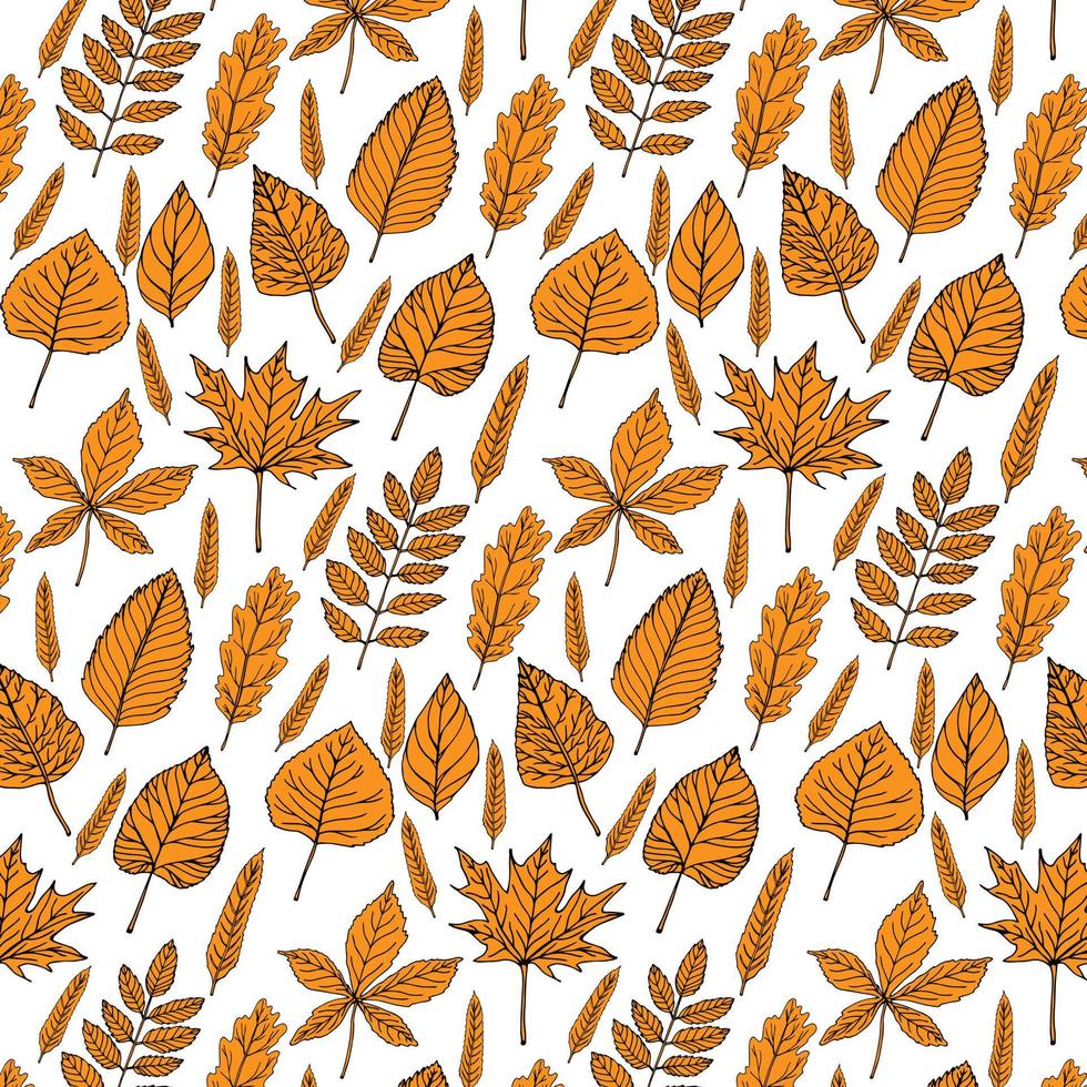 Seamless pattern with autumn leaves vector