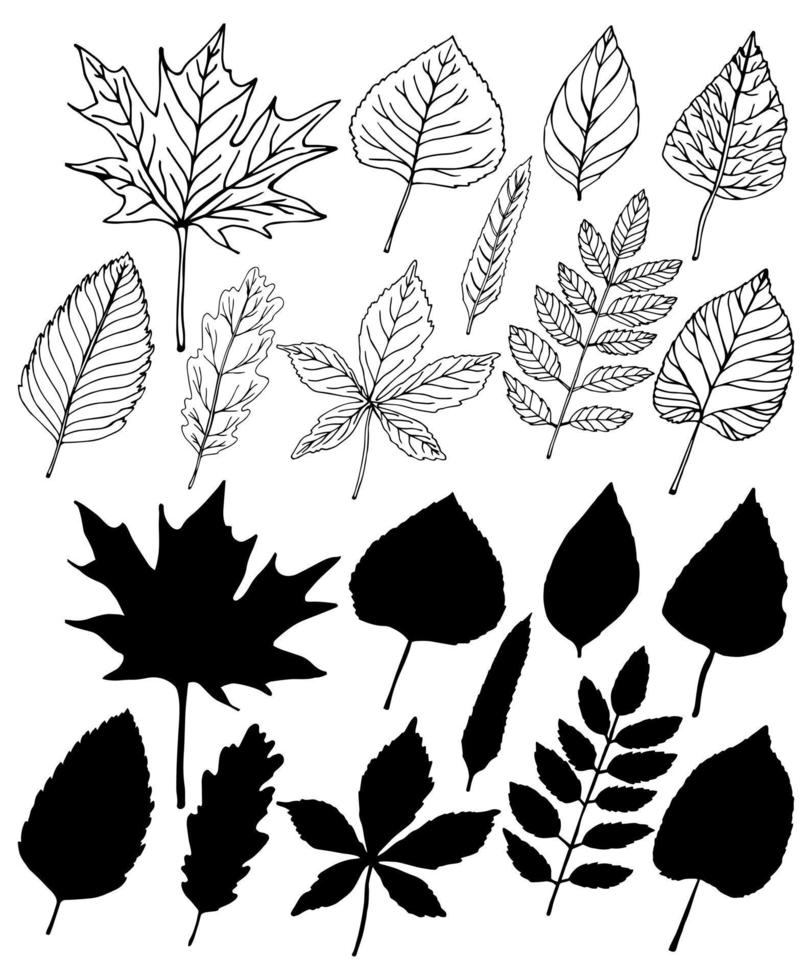 autum leave hand drawing with silhouettes vector