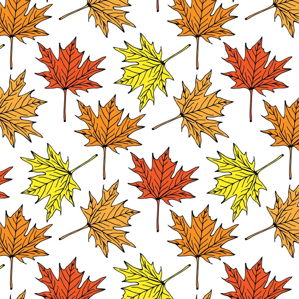Autumn seamless pattern of Orange Maple Leaves on White Background, Vector