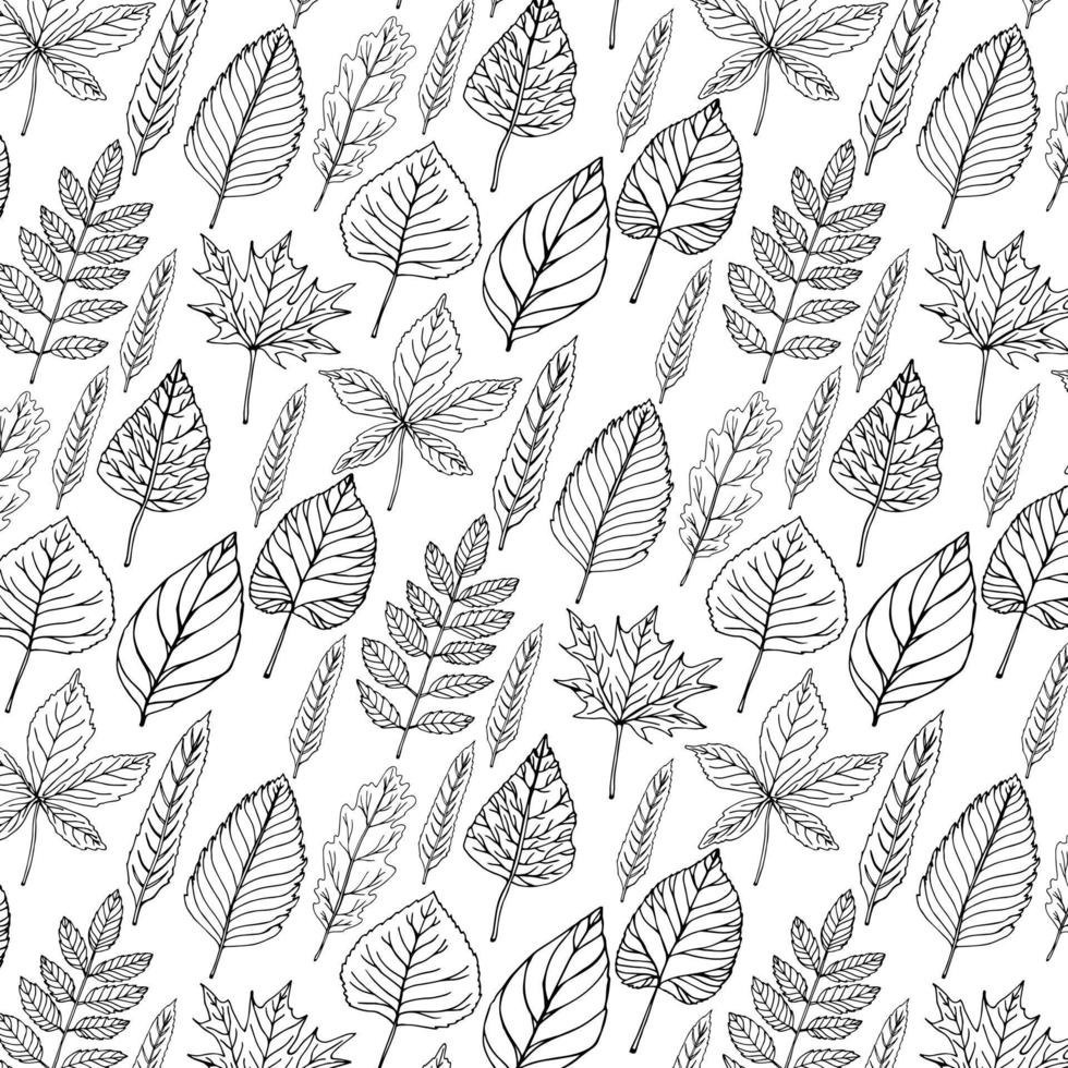 fondo de patrón de hojas transparentes de otoño. patrón de hojas de otoño de vector de arte en blanco y negro. textura de tela