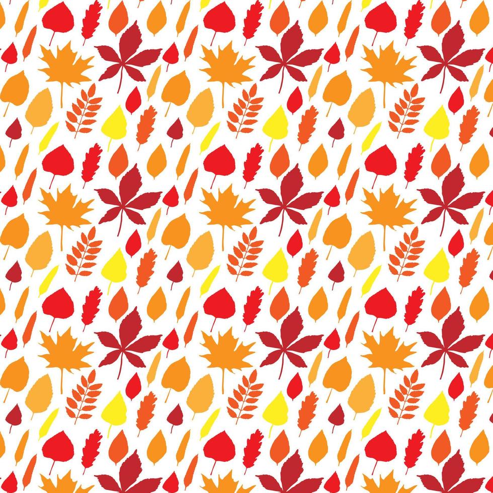 Seamless pattern with autumn leaves vector