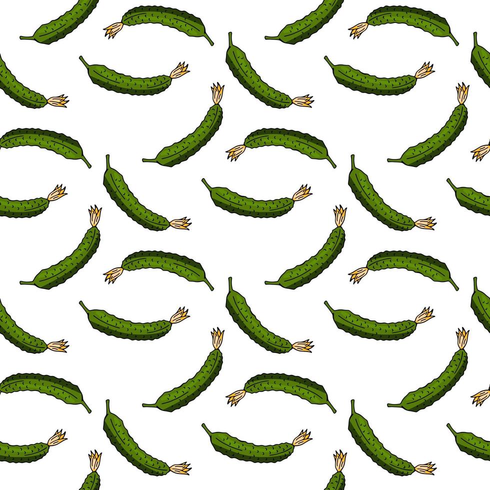 Seamless pattern with tasty cucumbers on white background. Vector image.