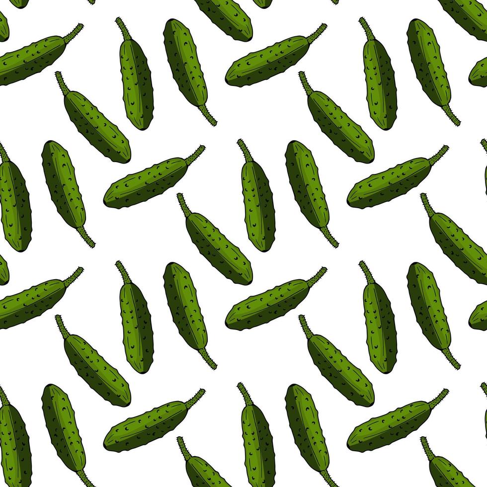 Seamless pattern with doodle tasty cucumbers on white background. Vector image.