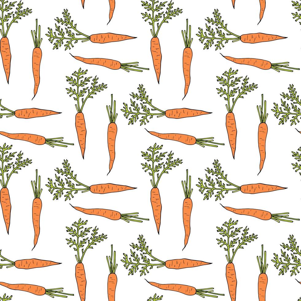 Seamless pattern with yammy carrot on white background. Vector image.