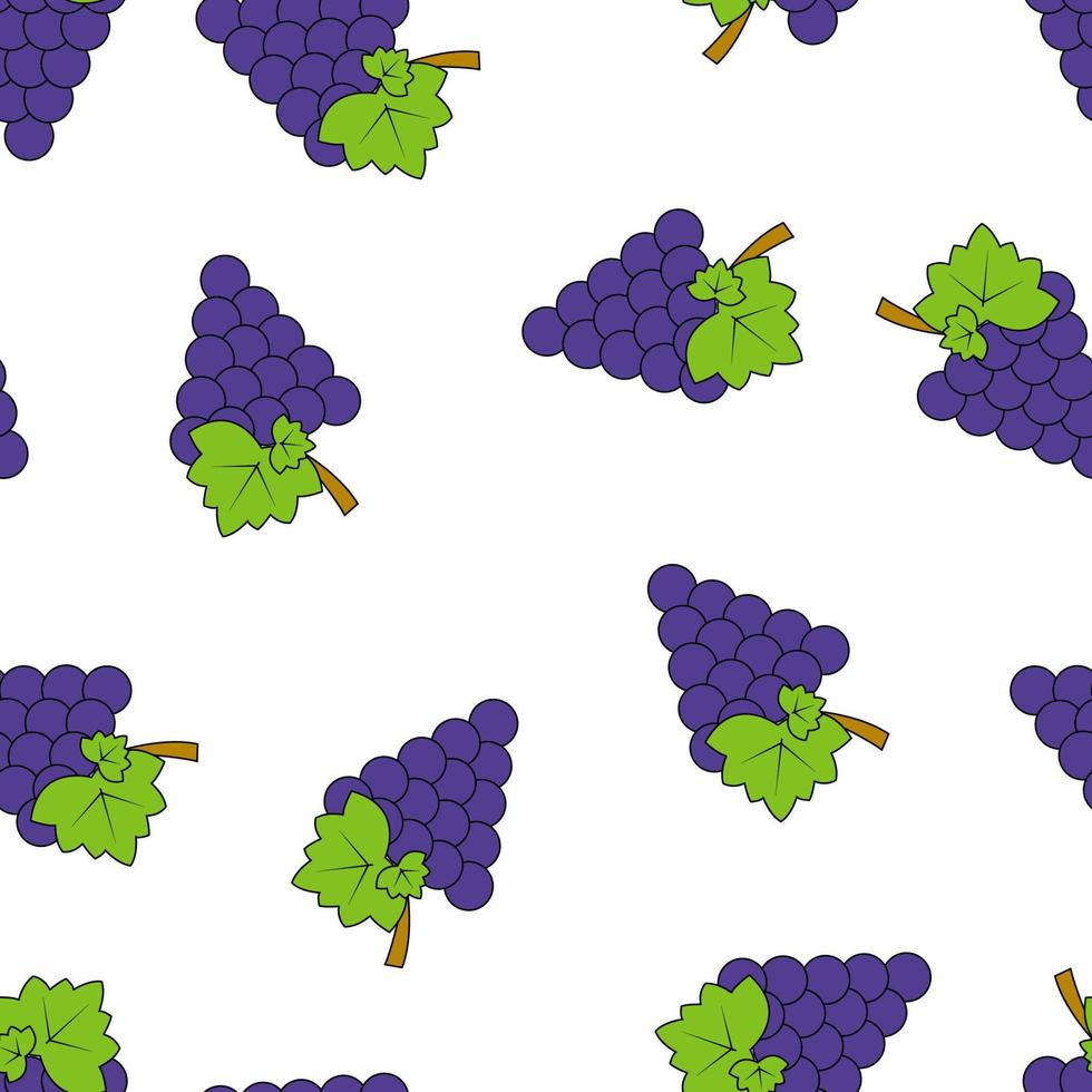 Seamless pattern with blue grapes on a white background vector