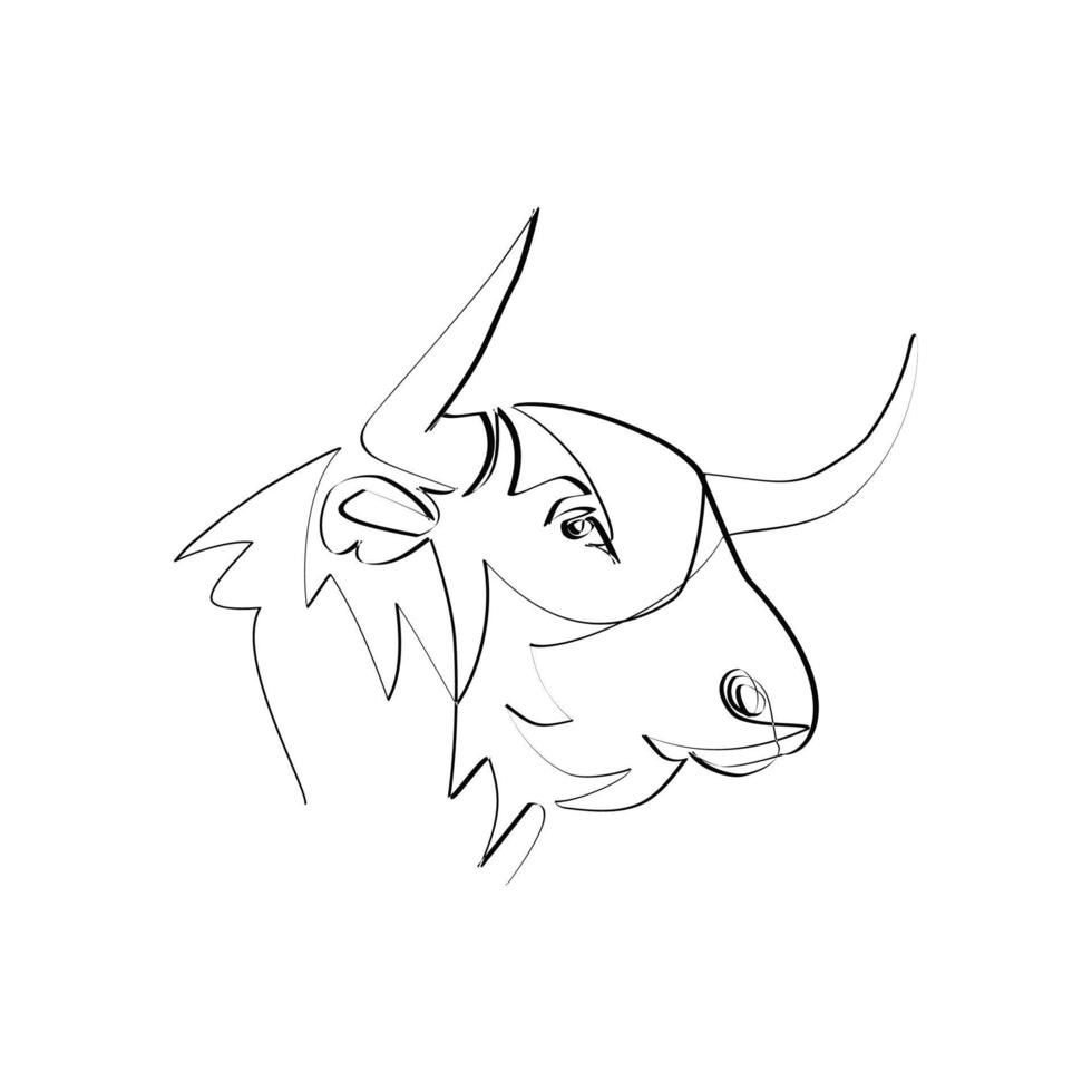 Bull head vector illustration drawn in line art style