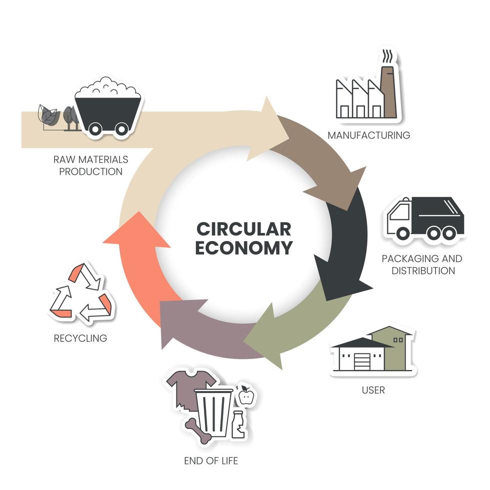 The vector infographic diagram of the circular economy concept has 3 dimensions. For example, manufacturing has to design and manufacture. The consumption used is minimized, collected, and sorted.