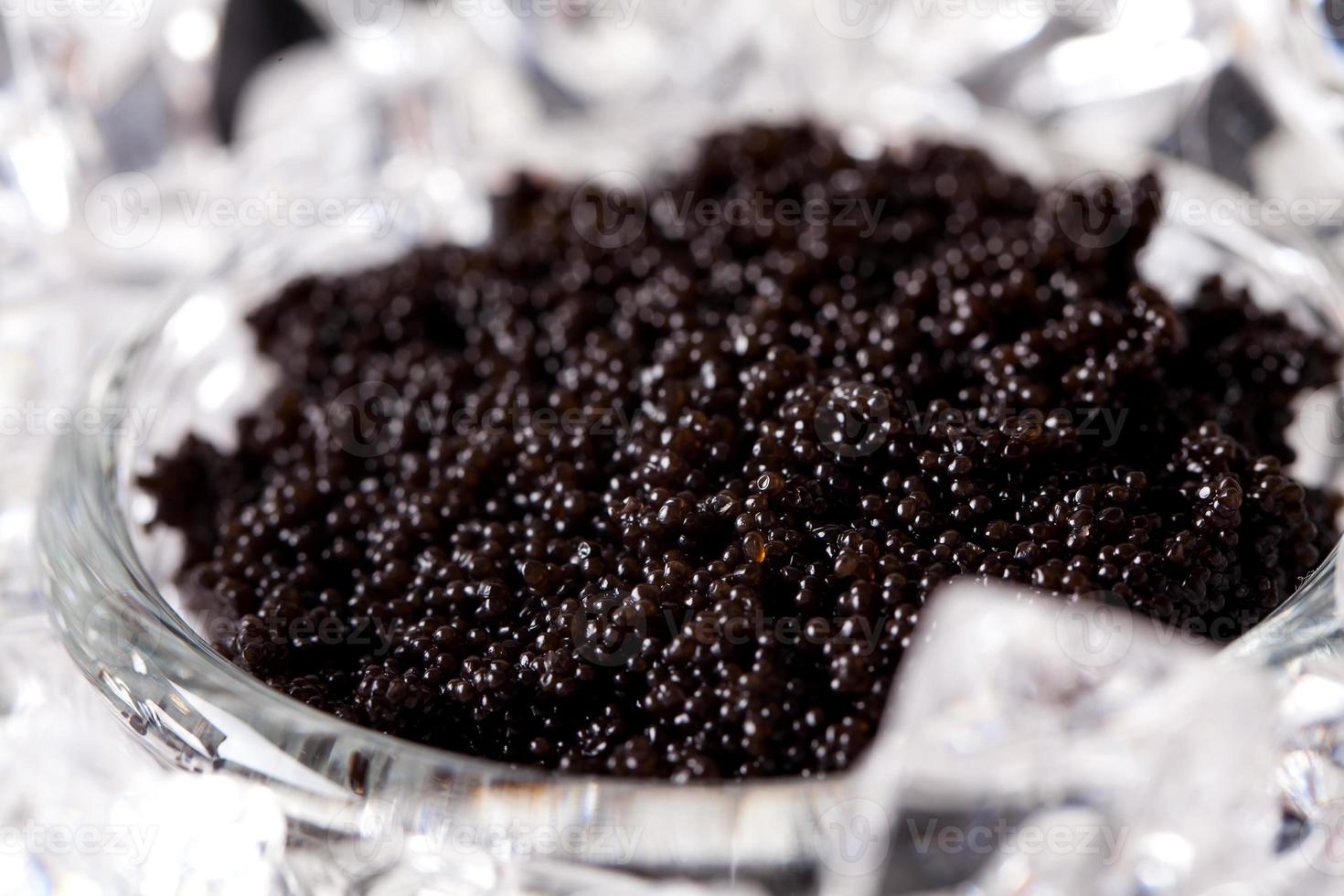 Black Caviar on ice photo