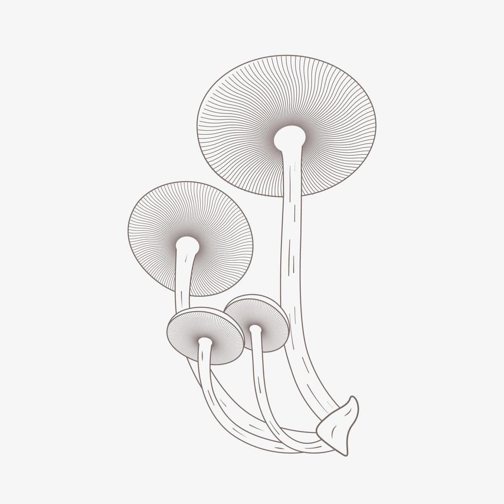 Vintage retro mushroom linear doodle drawing vector