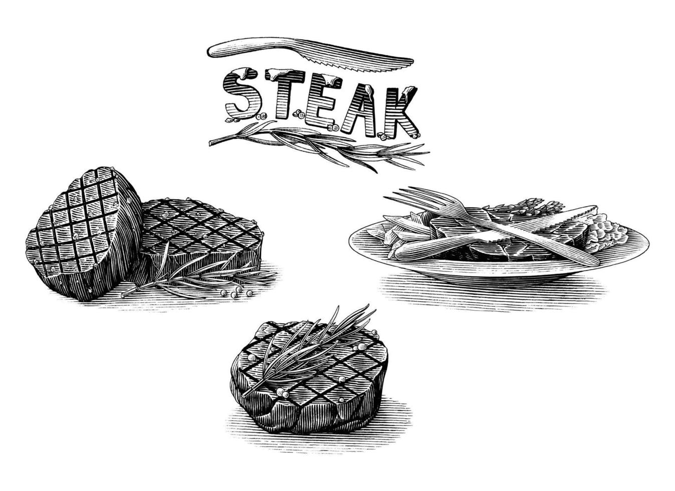 Steak hand draw engraving black and white clipart vector