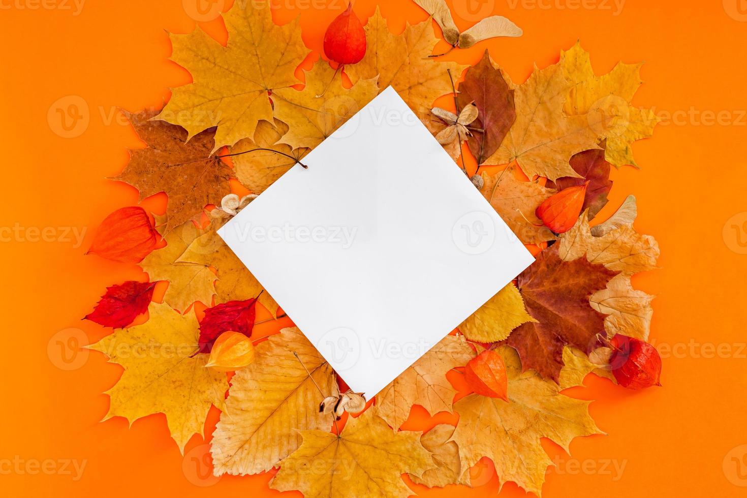 Autumn postcard mockup with fall leaves photo